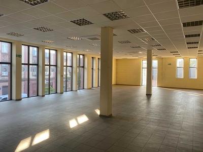 Lokal użytkowy 250m2 - Siemianowice Śląskie - bezpośrednio