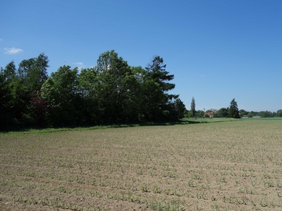 Skoczów Pruchna 1,15ha w samym centrum pod zabudowe stadnine koni