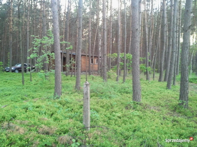 Sprzedam działkę 5200m, 30km od warszawy