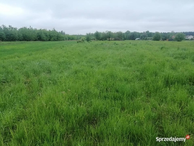 Sprzedam działkę budowlaną 24,35 ar Karolówka k.Lubaczów