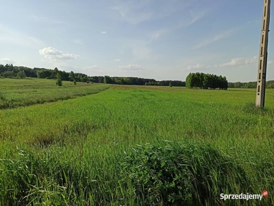 Sprzedam działkę rolno-budowlaną Gruszczyn 4900m2