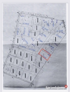 Sprzedam działki budowlane k. Ząbrowa , niedaleko Iławy