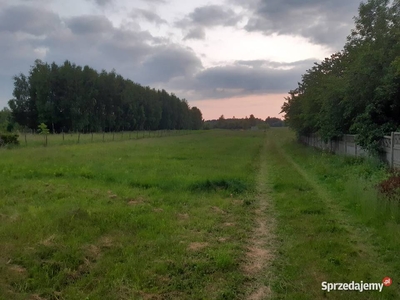 Sprzedam działki budowlane / rekreacyjne