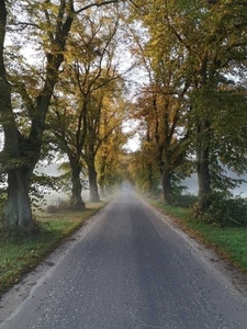 SPRZEDAM MIESZKANIE NA WSI . Lasy, jeziora ,cisza i spokój za darmo .