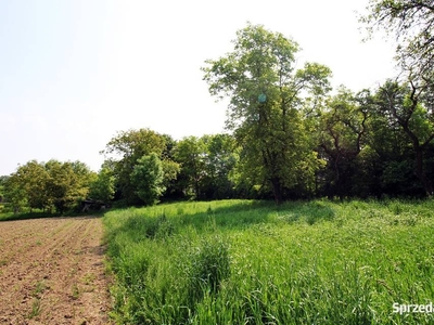 Tarnów - Mościce, działka budowlana 36 arów