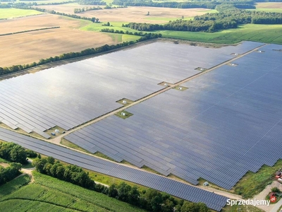 Wydzierżawię grunty: Farmy, mag. Energii i wiatraki