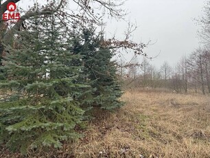 Działka budowlana Kosmaty Borek gm. Czarna Białostocka