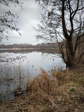 Działka w Gąskach - płaski teren z linią brzegową jeziora