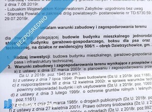 Działka z warunkami zabudowy Dzietrzychowice