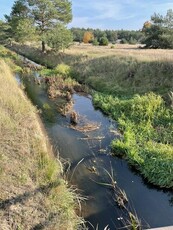 Idylliczna działka budowlana w Kuźnicy Janiszewskiej