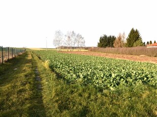 Lokal użytkowy Radawiec Duży gm. Konopnica