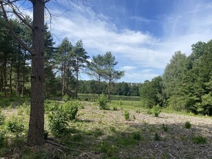 Urokliwa działka rekreacyjna nad jeziorem