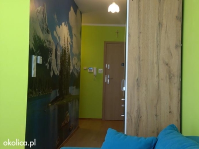 Novy Luxusowy Apartament nad jeziorem Żywiec