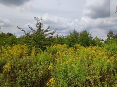 Działka 928m2-DąbrówkaMarianka przygranicy Zgierza