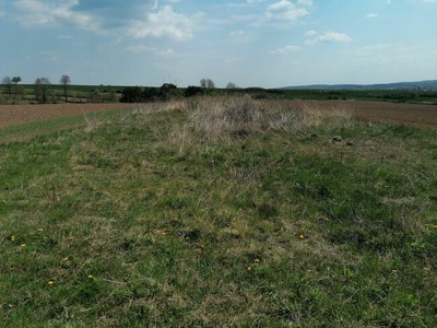 Działka budowlana Sieciechowice gm. Iwanowice