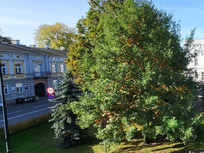 Lokal nr 215 A w ścisłym centrum Tomaszowa z parkingiem w TOMAXie