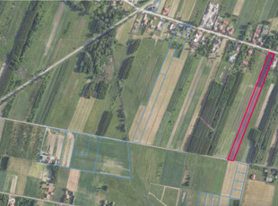 Działki rolno-budowlane / 1,19 ha /Białoborze