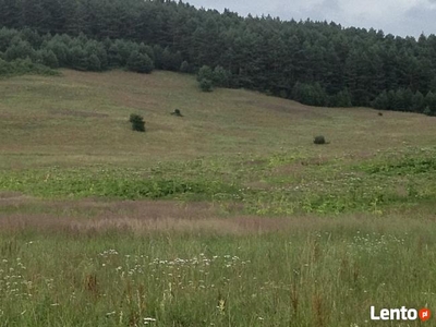 Bieszczady-Liskowate grunt rolno-budowlany do sprzedania