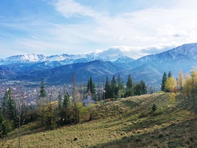 Działka budowlana Sprzedaż Zakopane, Polska