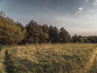 Działka inna Rybnik, ul. Pojdy