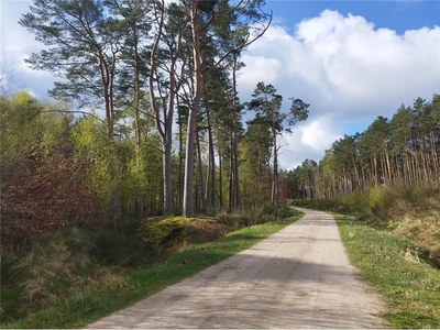 Działka Sprzedaż Niemierze, Polska