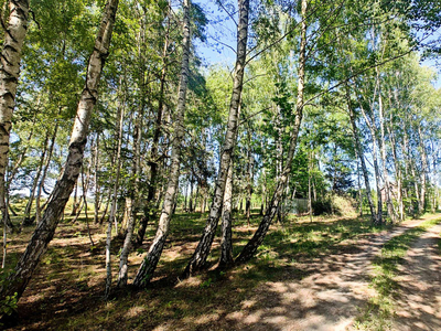 Grodziski, Jaktorów, Stare Budy