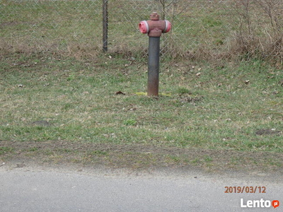 Świecie-Działka budowl inwest w Głogówku. Czytaj ogłoszenie.