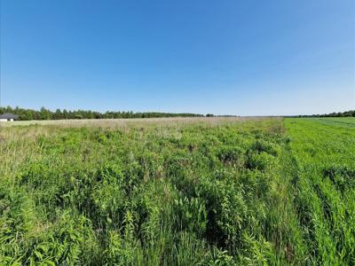 Bialski, Biała Podlaska, Porosiuki