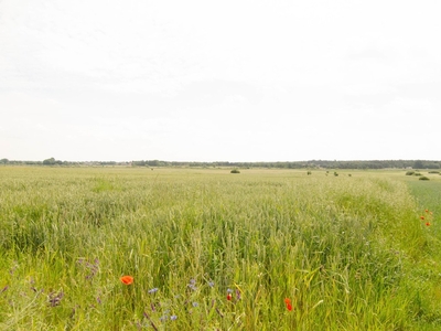 Działka budowlana Siostrzytów