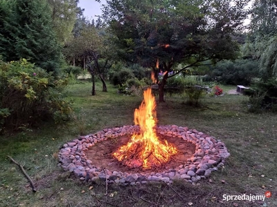 Dom na sprzedaż Bory Tucholskie Osowo leśne