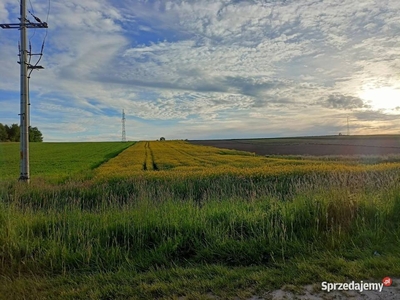 Działka grunt pole Wola Zgłobieńska