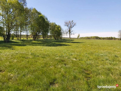 Działka/grunt rolny-Mazury