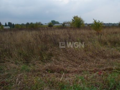 Grunt inwestycyjny na sprzedaż Chrzanów