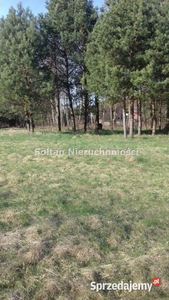 Ziemia do sprzedania Iława 11480m2