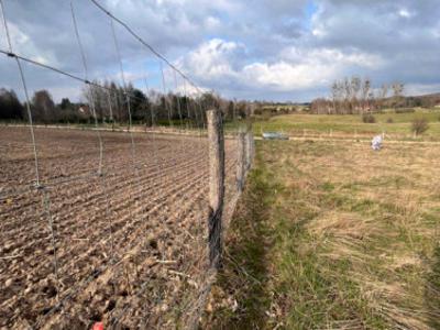 Działka budowlana Przywidz