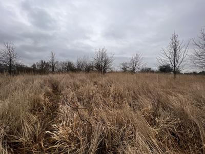 działka na wzniesieniu w Dołujach, 654m2