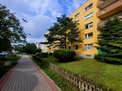 Mieszkanie na sprzedaż 3 pokoje Gdynia Karwiny, 61 m2, 2 piętro