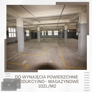 Lokal użytkowy na wynajem