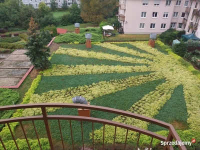 Do wynajecia mieszkanie 3 pokoje 65m2 KRZYKI