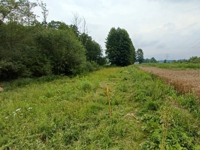 Działkę rolną w Piekarach koło Krakowa blisko Kryspinowa w okolicy ul.Żabin