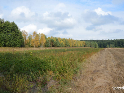 Działka, Klarów, 1,09 ha