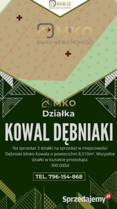 Działka Kowal 8510m2