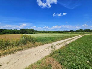 Działka rolna 49ar- Uściąż koło Kazimierza Dolnego