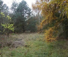 Działka z potencjałem, Wymysłów Piaski, gm. Dobroń