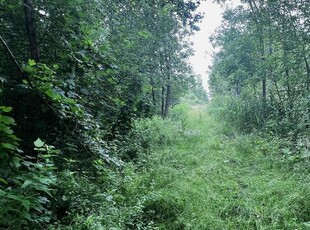 Działki rolne, las, Żminne, gm. Siemień