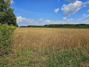 Karczmiska Drugie - ponad 33ar działki rolnej