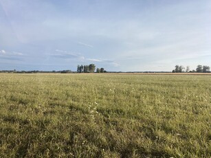 Działka rolna Siedlanów, Radzyń Podlaski