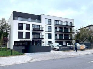 Lokal użytkowy 82 i 115 m2