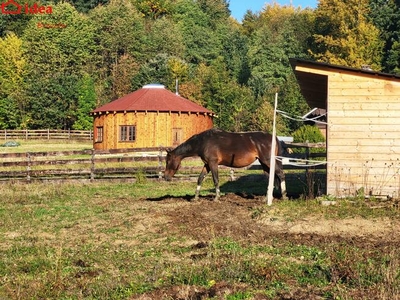 Dom Haczów