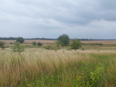 DUŻA DZIAŁKA BUDOWLANA - 9 KM OD SŁUPSKA